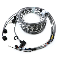Na -customize na OEM ODM Industrial Wiring Harness, Refrigerator Wiring Harness, Industrial Machine Spiral Cable Assembly