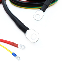 Изготовленный на заказ жгут проводов с кольцевой клеммой и кабельной сборкой с уплотнительной клеммой