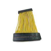 Na-customize na 40 Pin Connector Wire Harness Cable Assembly 2.0mm IDC Flat Ribbon Wiring Harness